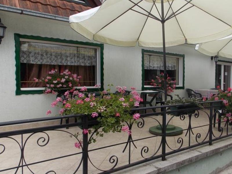 B&B Villa Evandjelina Sremska Kamenica Exterior foto
