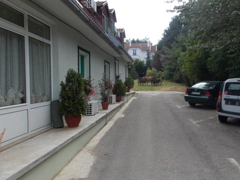 B&B Villa Evandjelina Sremska Kamenica Exterior foto